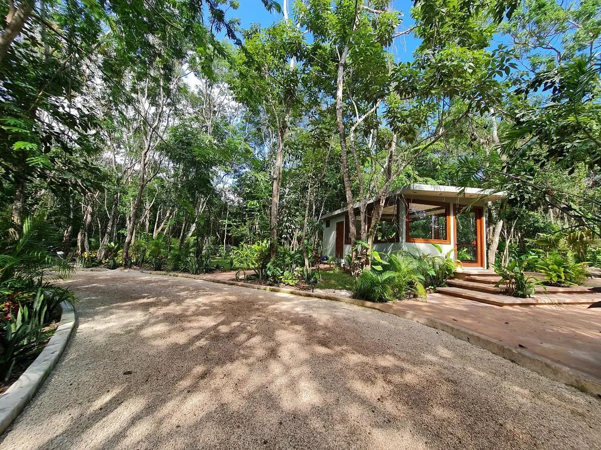 Hotel Secret Gardens Bacalar Suite 02 Con Alberca Y Bicicletas Meksyk