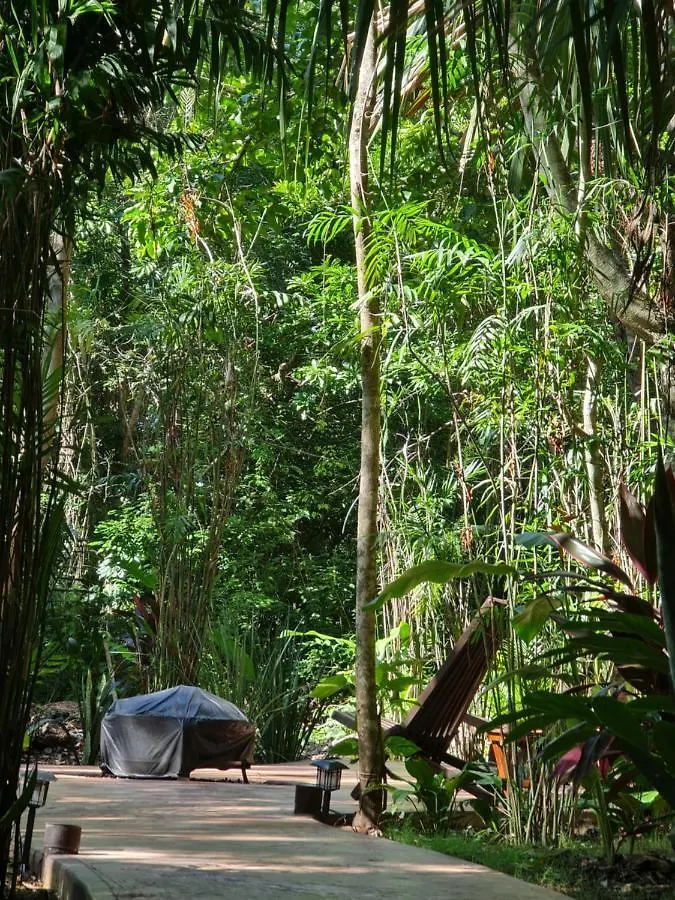 Secret Gardens Bacalar Suite 02 Con Alberca Y Bicicletas