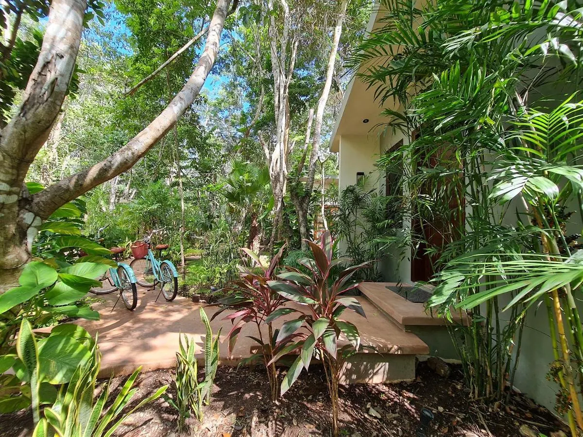 Secret Gardens Bacalar Suite 02 Con Alberca Y Bicicletas Hotel