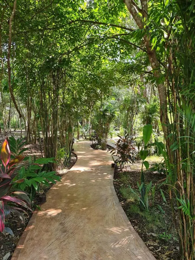 Secret Gardens Bacalar Suite 02 Con Alberca Y Bicicletas 0*,