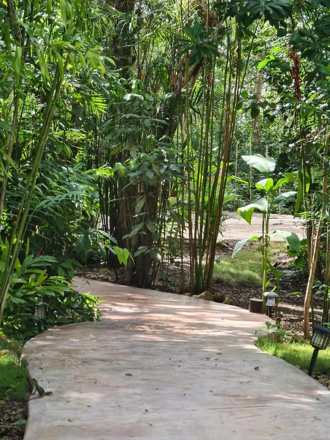 Secret Gardens Bacalar Suite 02 Con Alberca Y Bicicletas
