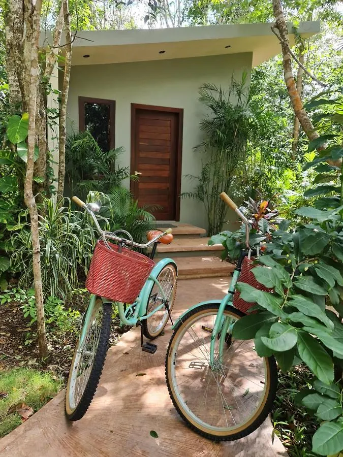 Hotel Secret Gardens Bacalar Suite 02 Con Alberca Y Bicicletas