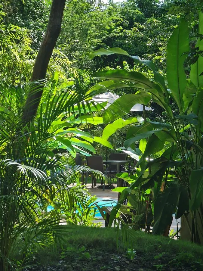 Secret Gardens Bacalar Suite 02 Con Alberca Y Bicicletas Hotel