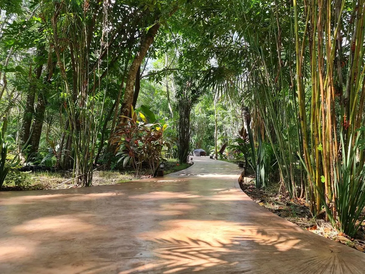 Secret Gardens Bacalar Suite 02 Con Alberca Y Bicicletas