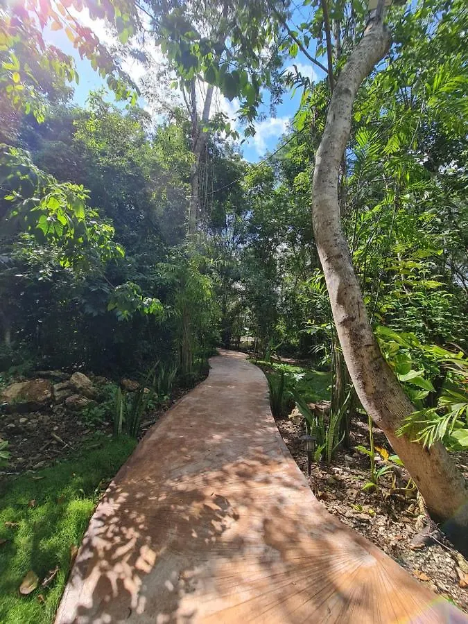Secret Gardens Bacalar Suite 02 Con Alberca Y Bicicletas 0*,  Mexiko