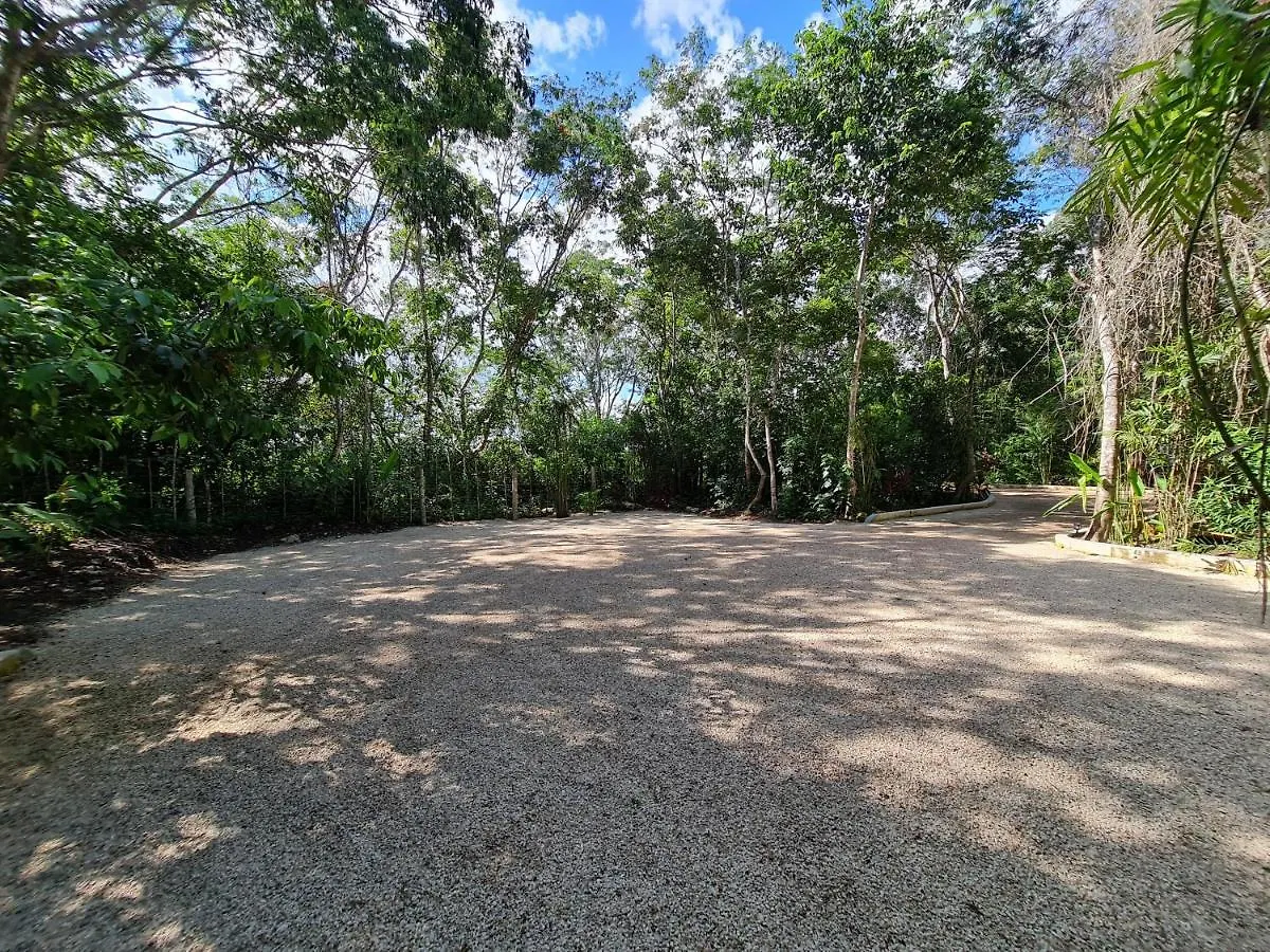Secret Gardens Bacalar Suite 02 Con Alberca Y Bicicletas Hotel