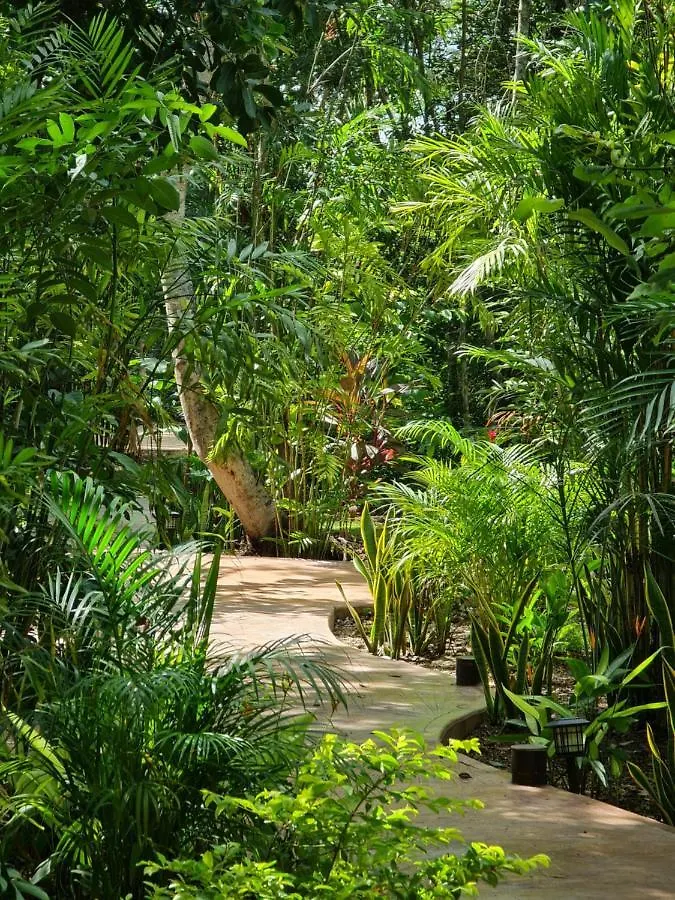 Secret Gardens Bacalar Suite 02 Con Alberca Y Bicicletas Mexiko