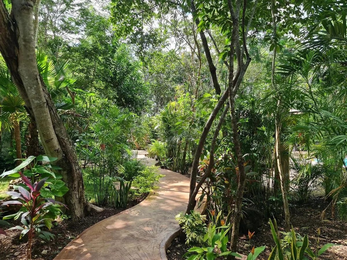 Secret Gardens Bacalar Suite 02 Con Alberca Y Bicicletas 0*,