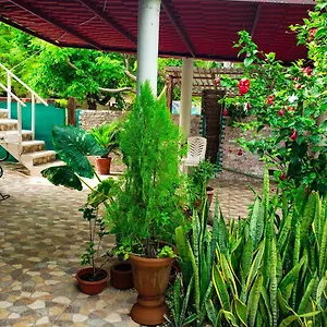  Hotel Bacalar Hotel