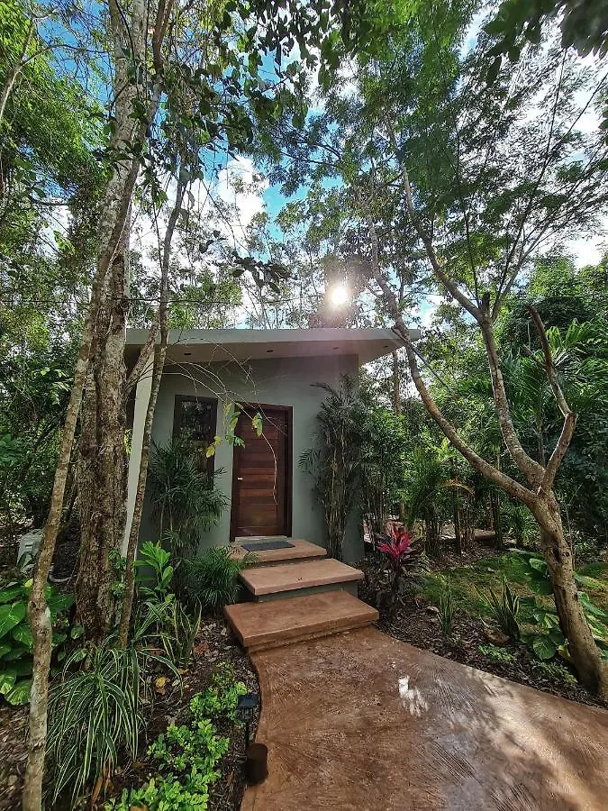 Secret Gardens Bacalar Suite 02 Con Alberca Y Bicicletas