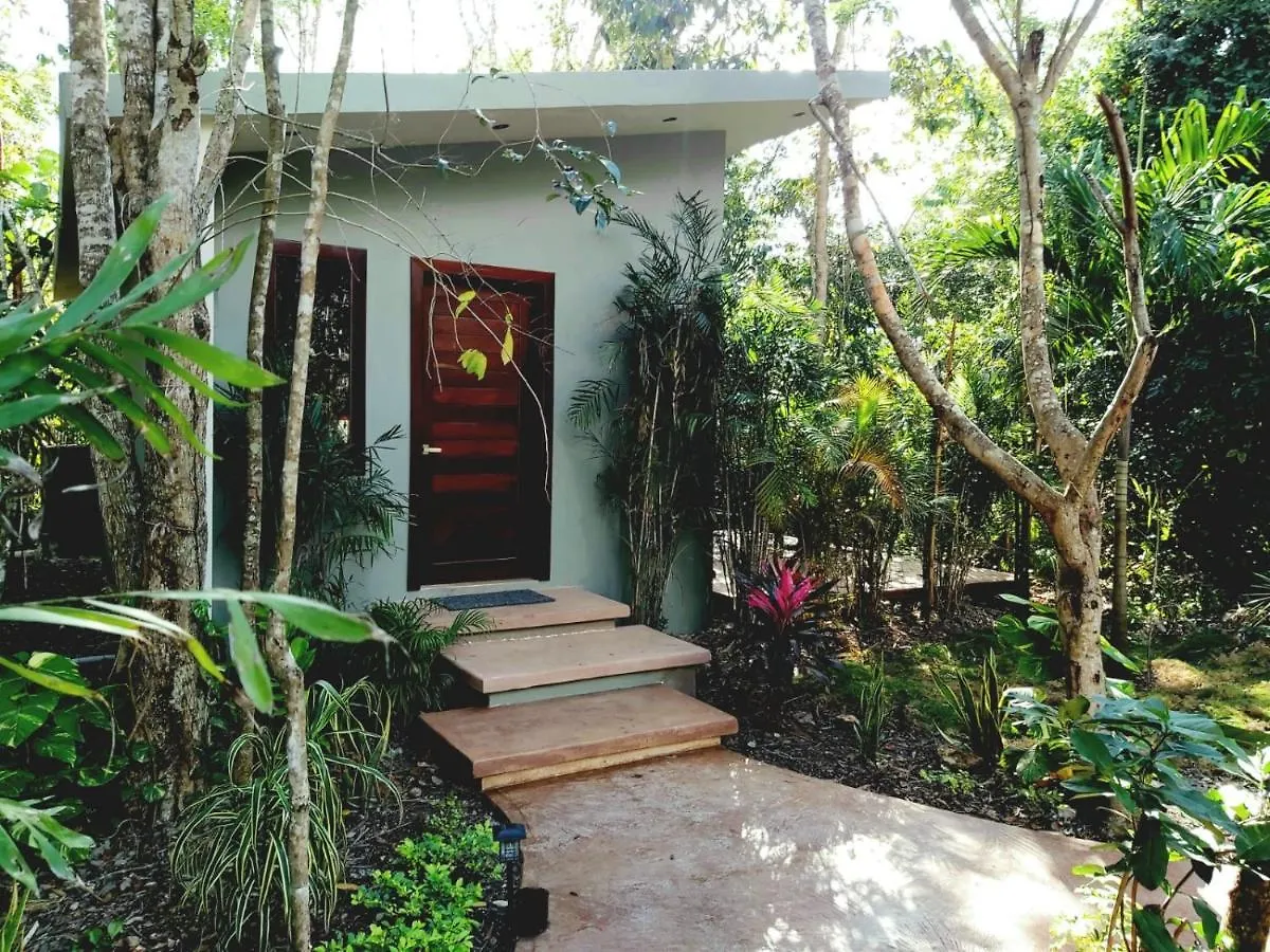 Hotel Secret Gardens Bacalar Suite 02 Con Alberca Y Bicicletas