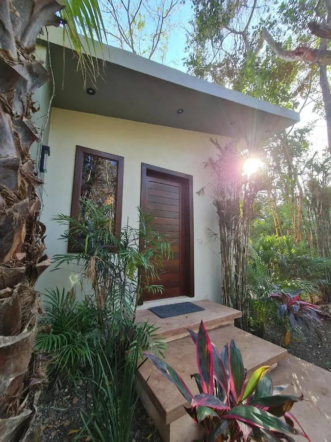 Secret Gardens Bacalar Suite 02 Con Alberca Y Bicicletas