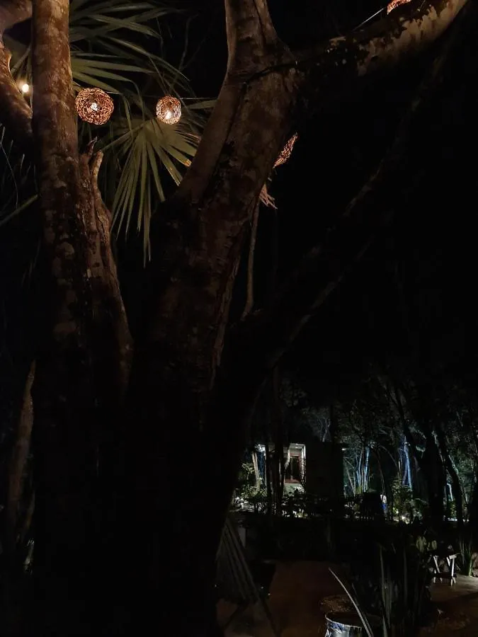 Hotel Secret Gardens Bacalar Suite 02 Con Alberca Y Bicicletas