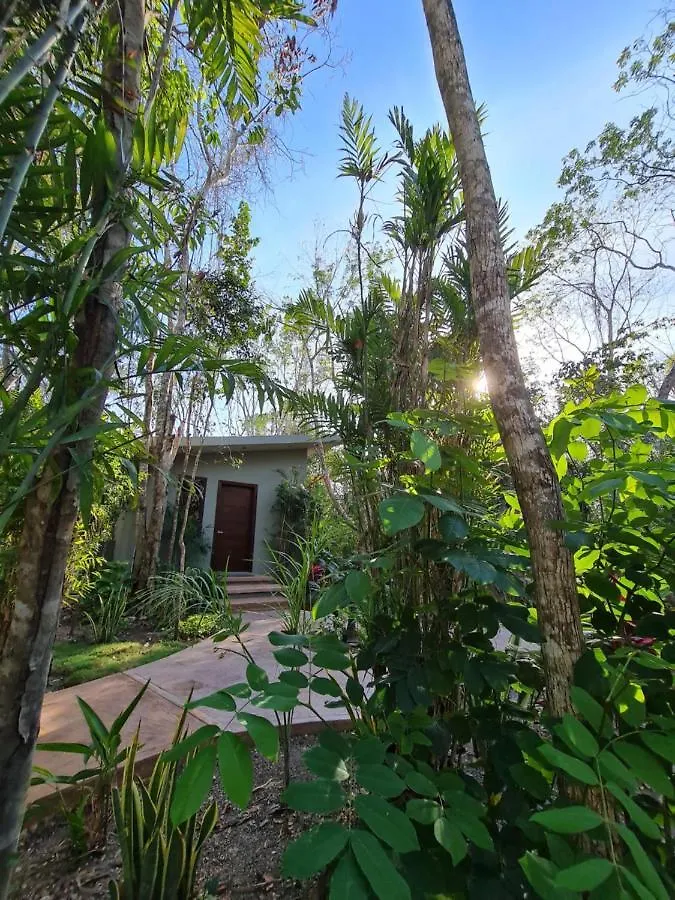 Secret Gardens Bacalar Suite 02 Con Alberca Y Bicicletas 0*,