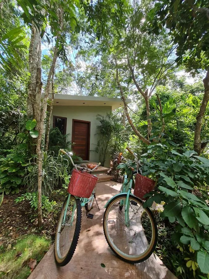 Secret Gardens Bacalar Suite 02 Con Alberca Y Bicicletas