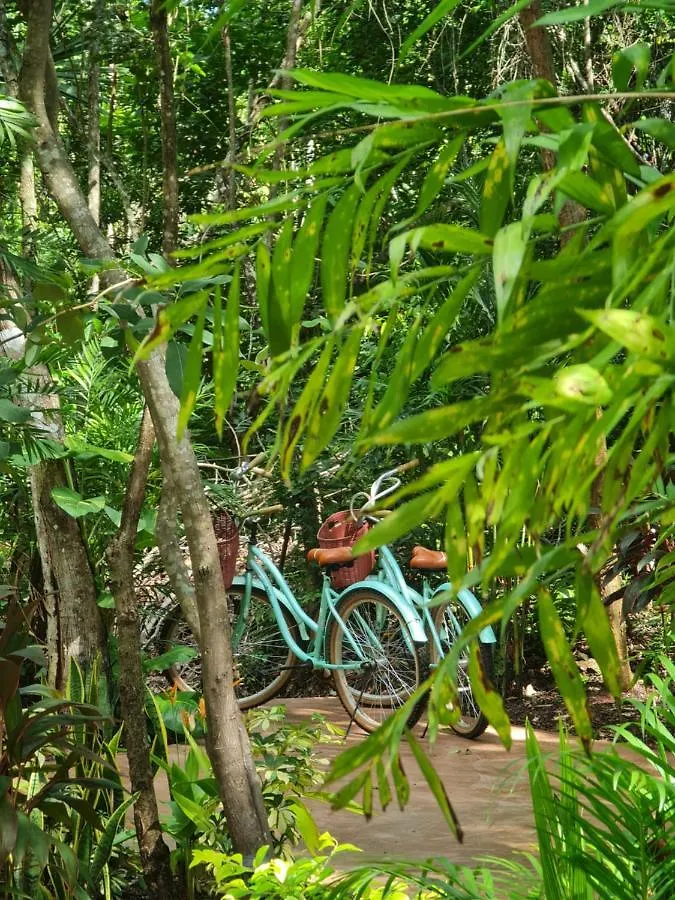 Secret Gardens Bacalar Suite 02 Con Alberca Y Bicicletas 0*,  Mexico