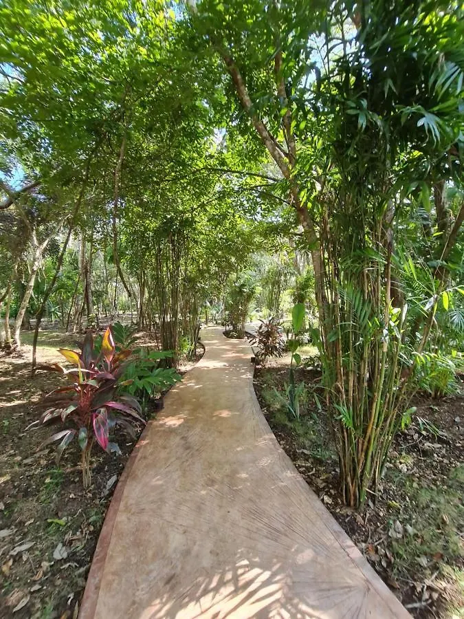 Secret Gardens Bacalar Suite 02 Con Alberca Y Bicicletas Hotel