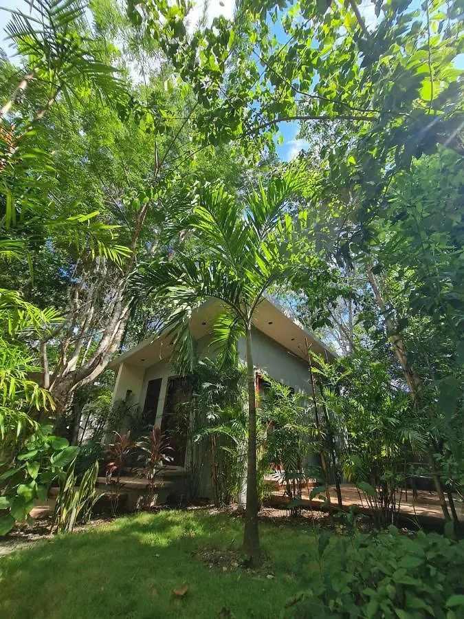 Hotel Secret Gardens Bacalar Suite 02 Con Alberca Y Bicicletas