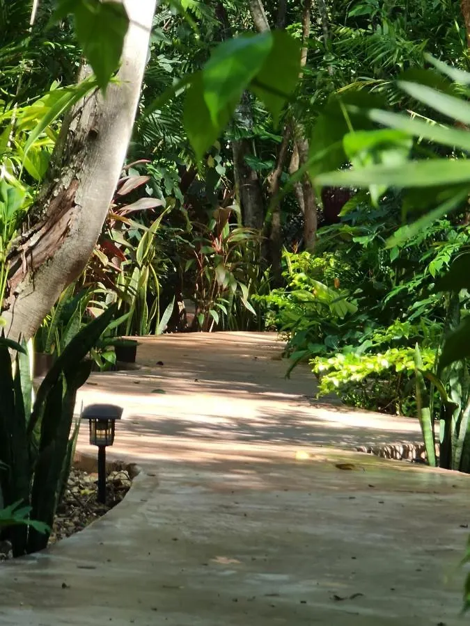 Secret Gardens Bacalar Suite 02 Con Alberca Y Bicicletas Hotel