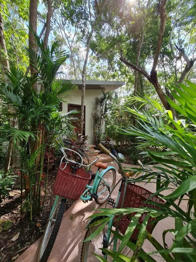 Secret Gardens Bacalar Suite 02 Con Alberca Y Bicicletas 0*,  Mexico