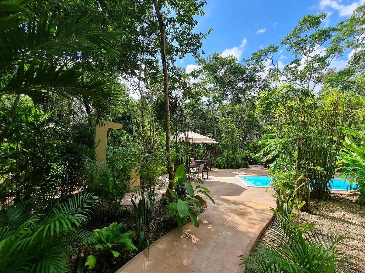 Secret Gardens Bacalar Suite 02 Con Alberca Y Bicicletas