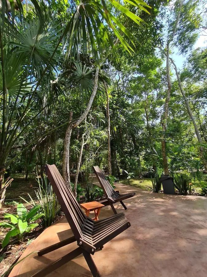 Secret Gardens Bacalar Suite 02 Con Alberca Y Bicicletas