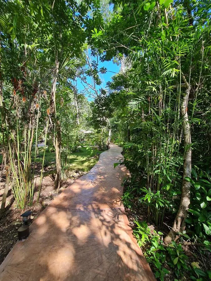 Secret Gardens Bacalar Suite 02 Con Alberca Y Bicicletas 0*,