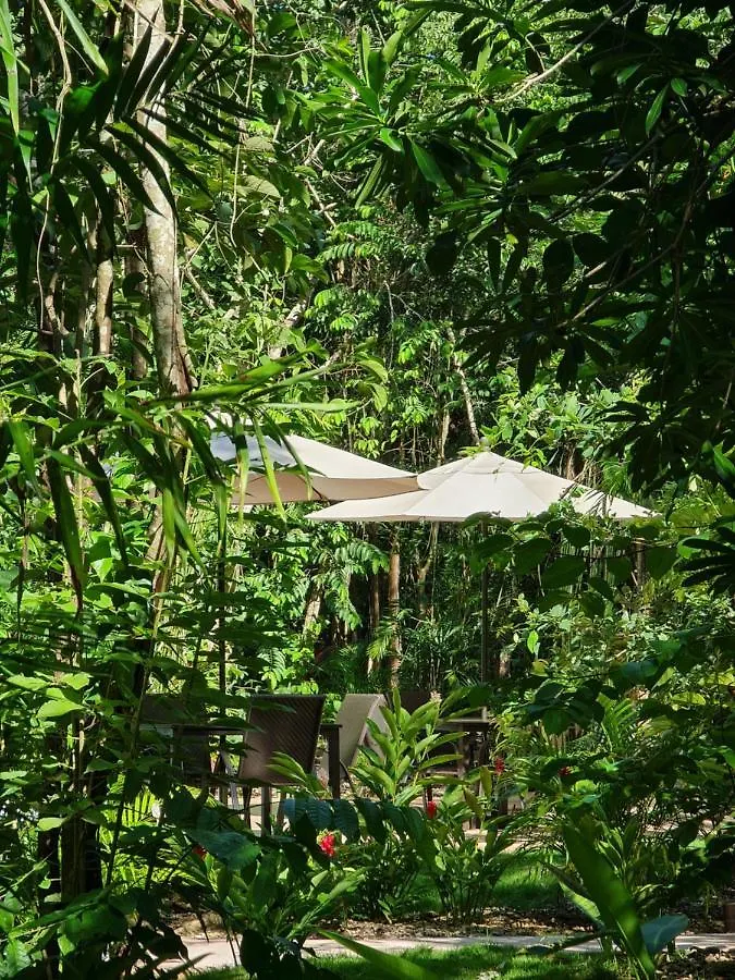 Secret Gardens Bacalar Suite 02 Con Alberca Y Bicicletas 0*,