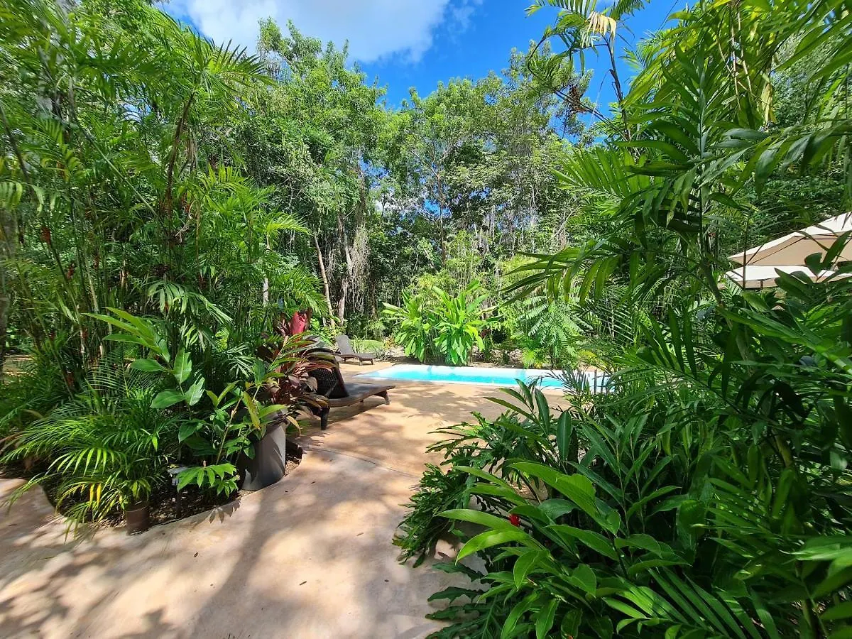 Hotel Secret Gardens Bacalar Suite 02 Con Alberca Y Bicicletas