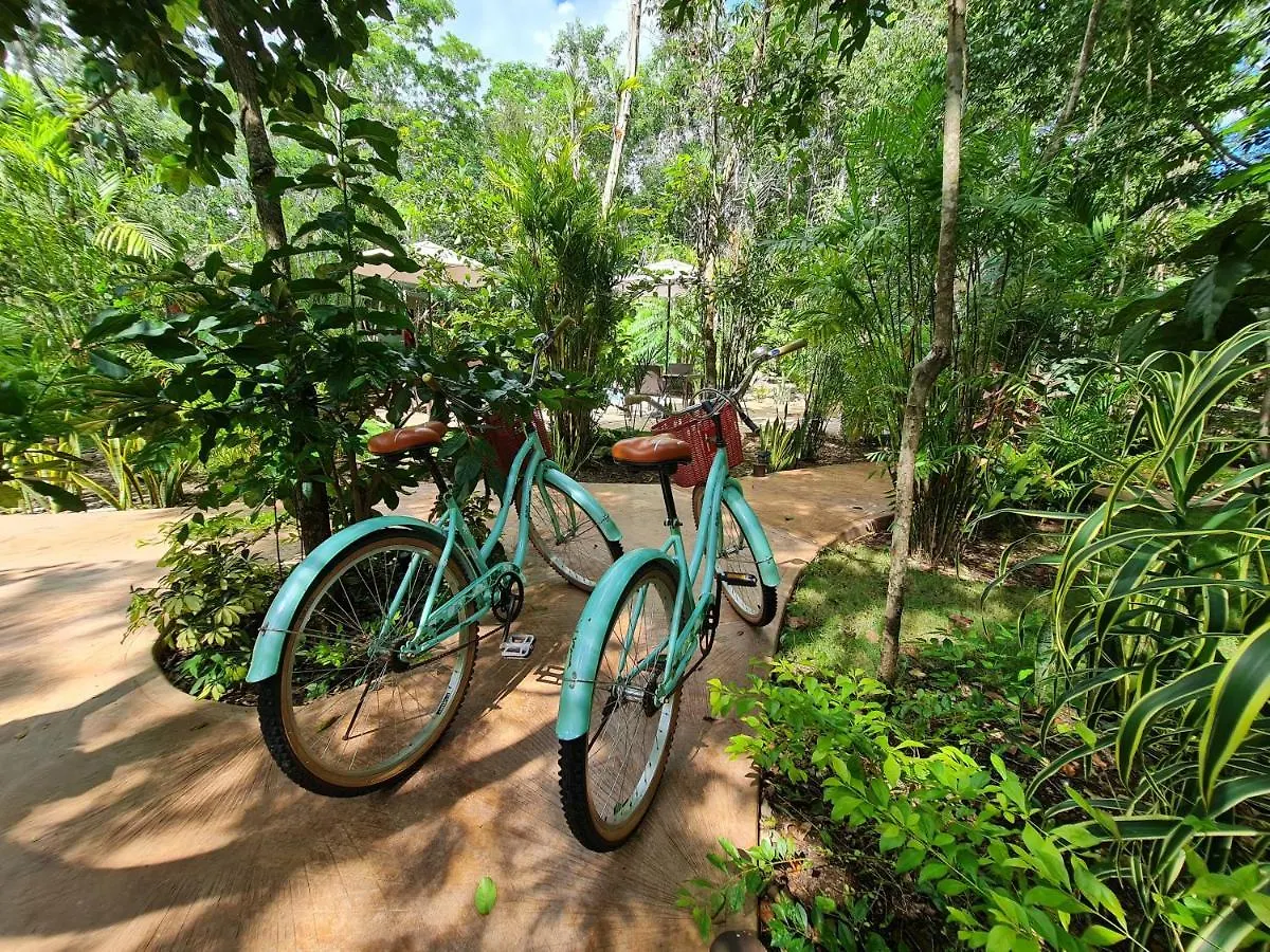 Secret Gardens Bacalar Suite 02 Con Alberca Y Bicicletas Mexico