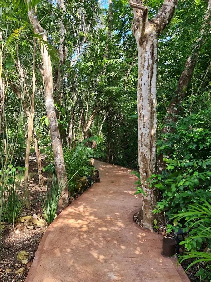 Secret Gardens Bacalar Suite 02 Con Alberca Y Bicicletas Hotel