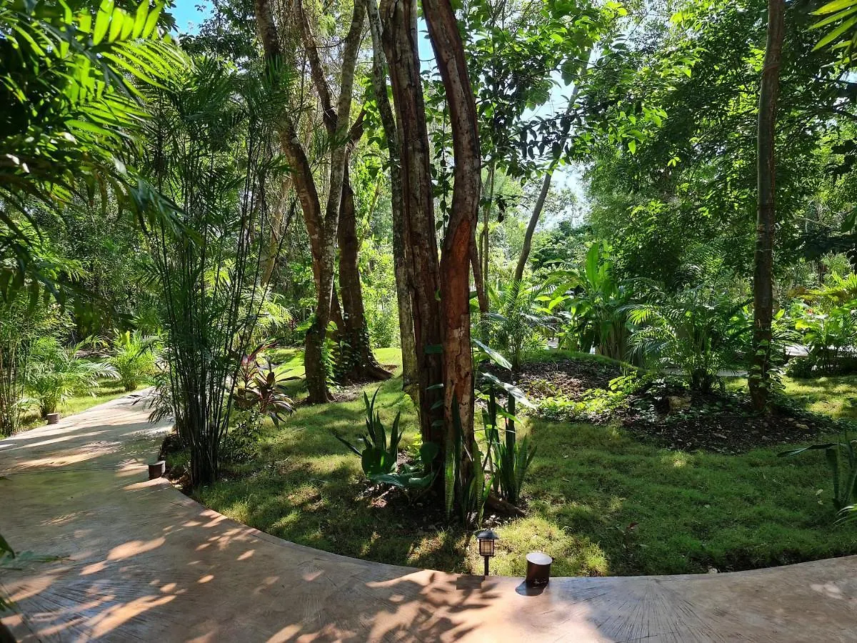 Secret Gardens Bacalar Suite 02 Con Alberca Y Bicicletas Hotel