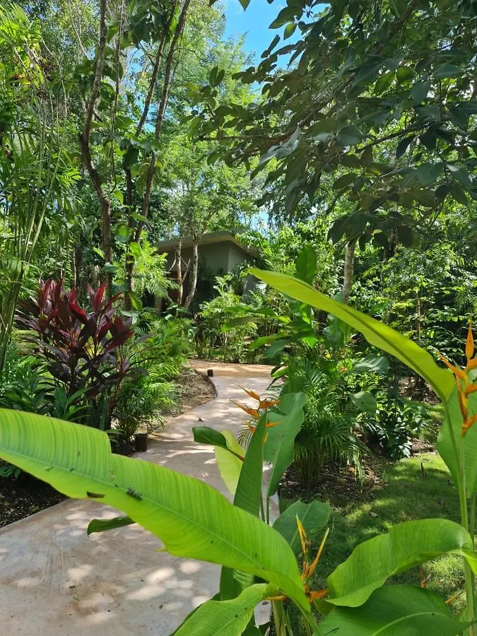 Secret Gardens Bacalar Suite 02 Con Alberca Y Bicicletas Mexico