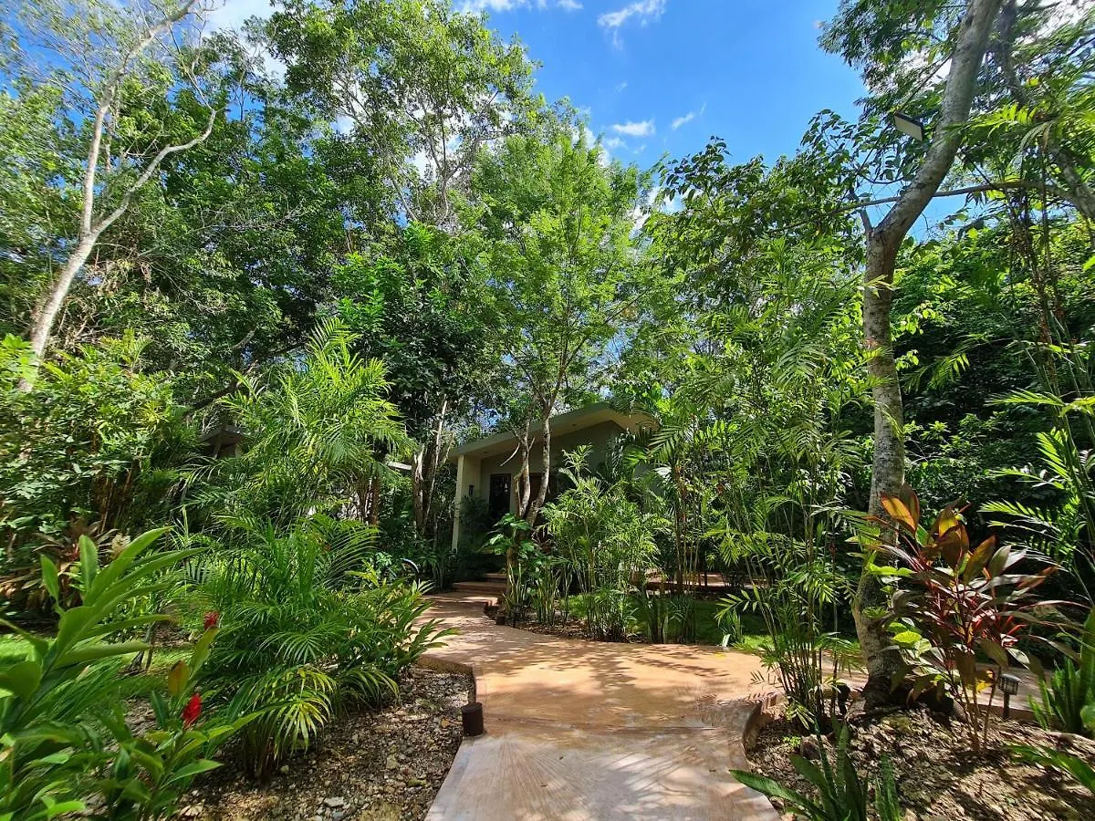 Secret Gardens Bacalar Suite 02 Con Alberca Y Bicicletas 0*,  Mexico