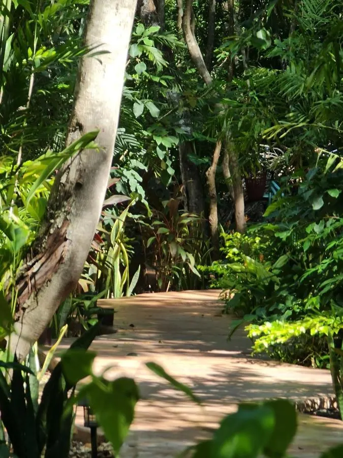 Secret Gardens Bacalar Suite 02 Con Alberca Y Bicicletas 0*,