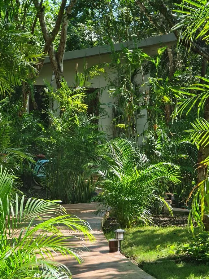 Secret Gardens Bacalar Suite 02 Con Alberca Y Bicicletas