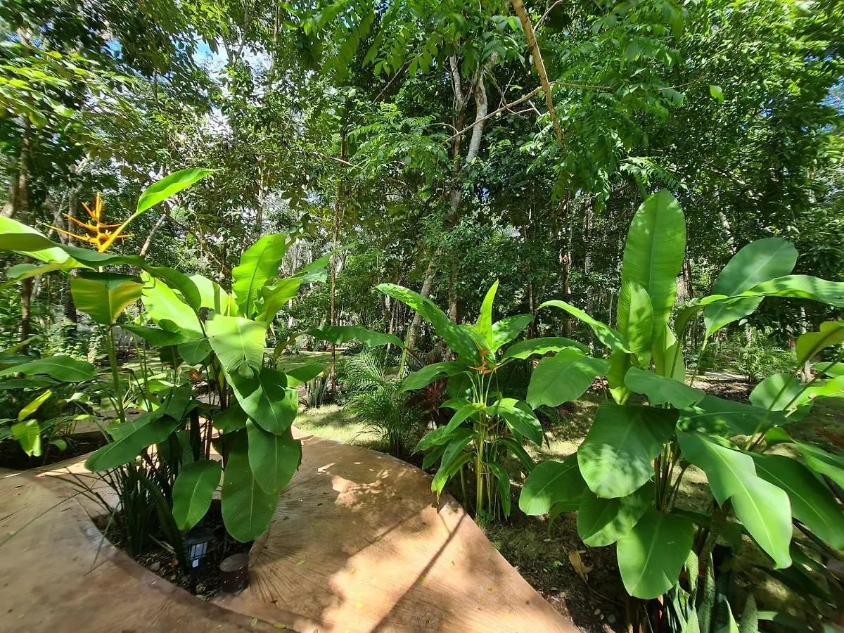 Secret Gardens Bacalar Suite 02 Con Alberca Y Bicicletas