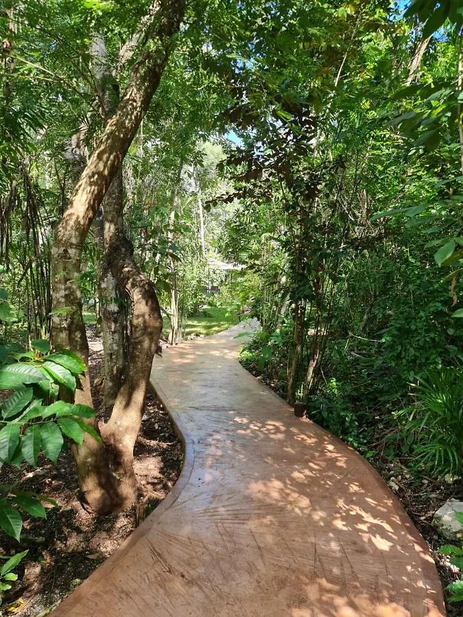 Secret Gardens Bacalar Suite 02 Con Alberca Y Bicicletas 0*,  Mexico