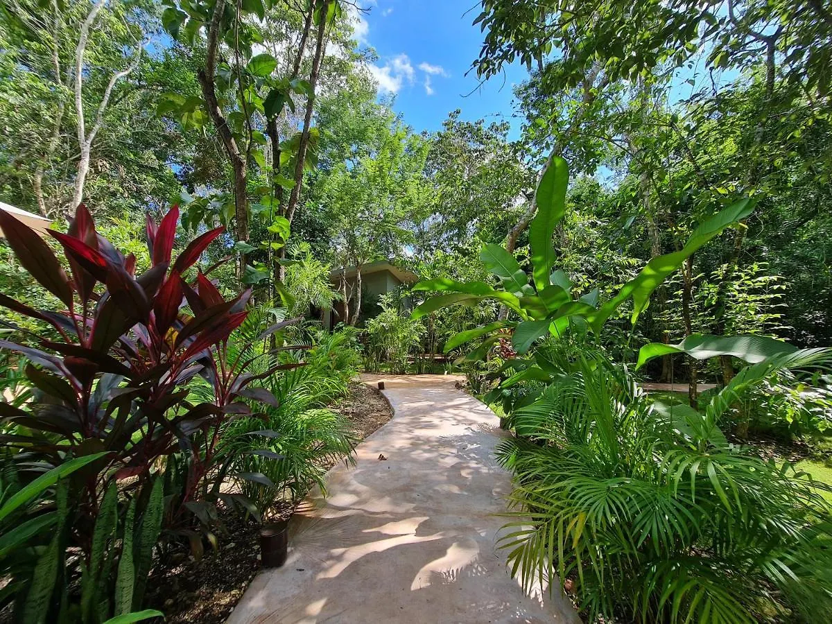 Hotel Secret Gardens Bacalar Suite 02 Con Alberca Y Bicicletas