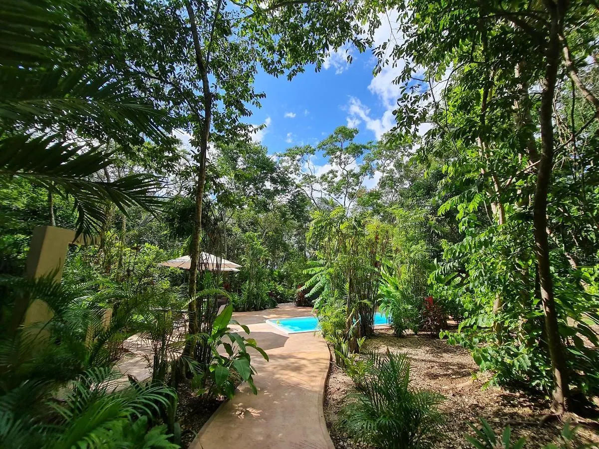 Secret Gardens Bacalar Suite 02 Con Alberca Y Bicicletas Hotel